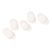N Coconut Veil