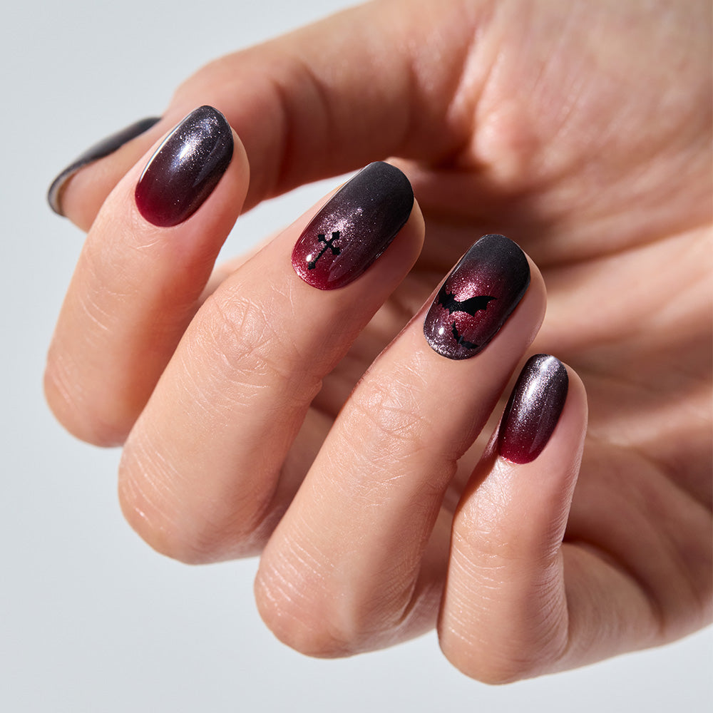 JP DESIGNS – ohora usa