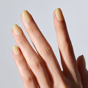 N Butter Veil