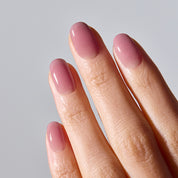 N Plum Veil