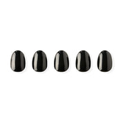 NP Classic Black