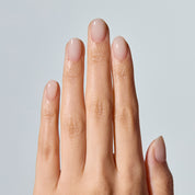 N Coconut Veil
