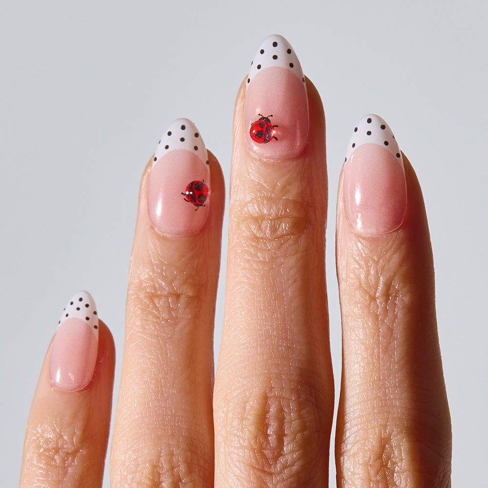Polka Lady [Medium Oval]