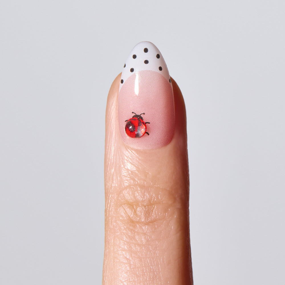NP Polka Lady [Medium Oval]