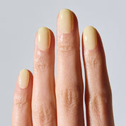 N Butter Veil