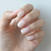 N Coconut Veil