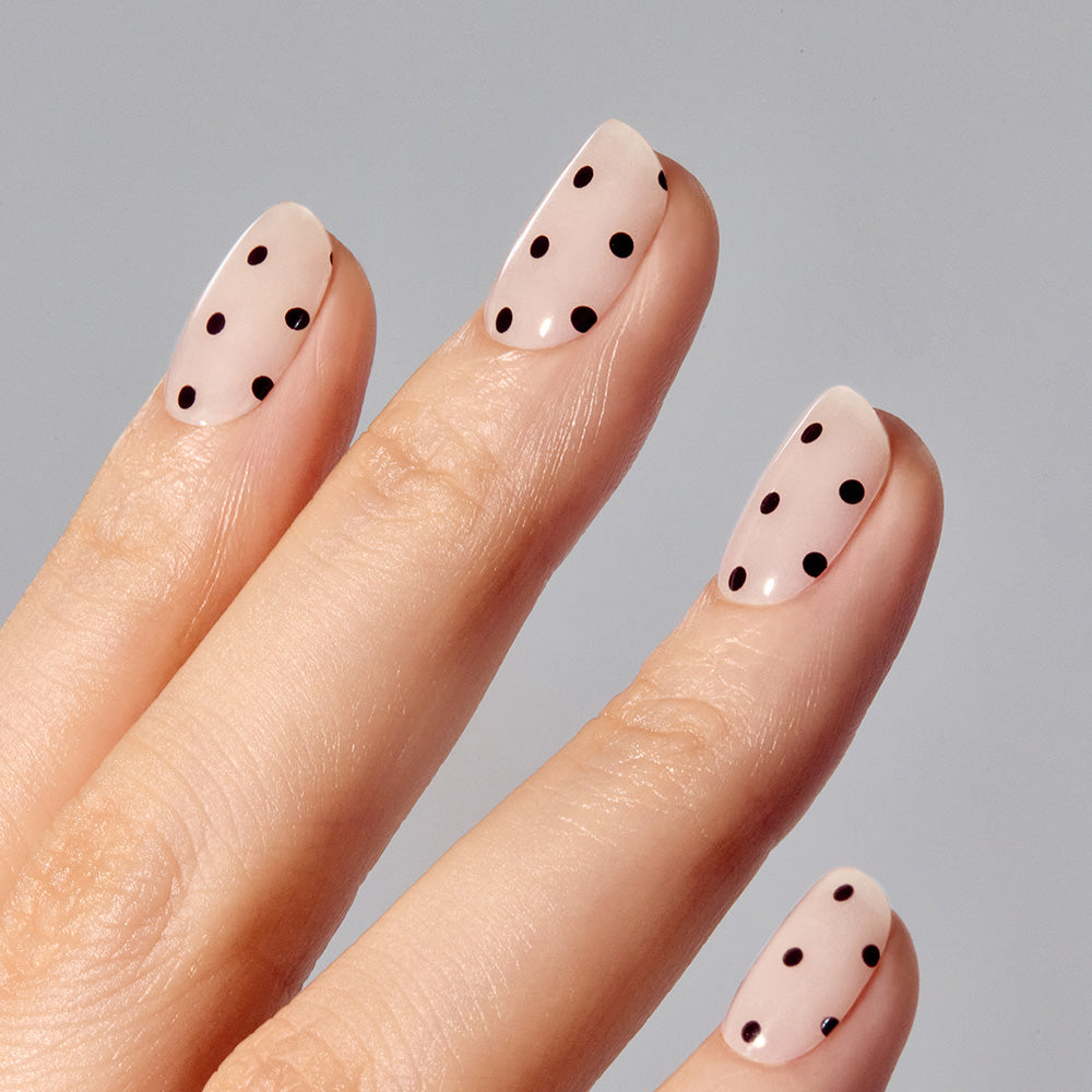 ohora オホーラN Quartz 15枚 N Quartz Mani ohora usa