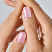 [5% OFF] Pastel Essentials Duo